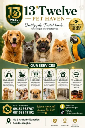 13'Twelve Pet Haven Grooming Service