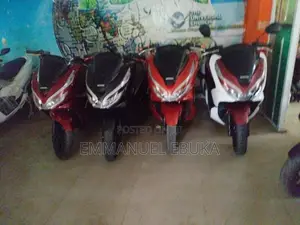 Max-S 2006 White