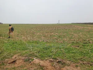 50 by 100 Plot of Land
