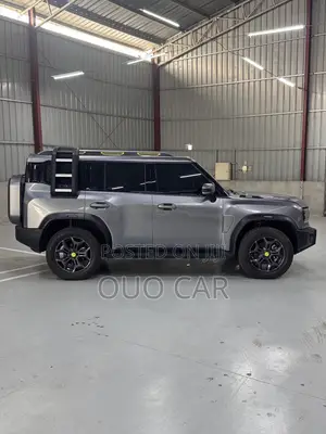 Jetour T2 2.0 Petrol AWD 2024 Gray
