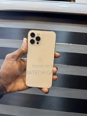 Apple iPhone 12 Pro Max 256 GB Gold