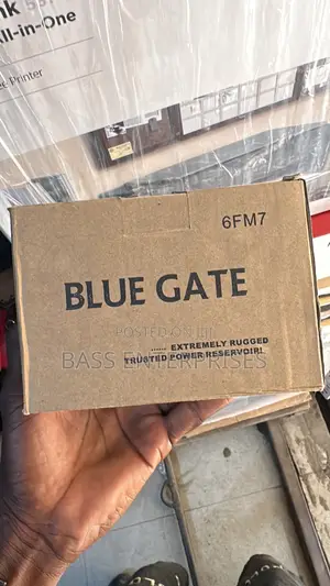 BluGate UPS Battery 6FM7
