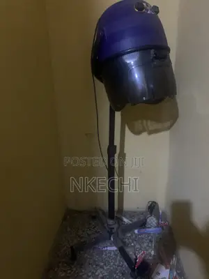 Posh Hair Dryer