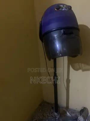 Posh Hair Dryer
