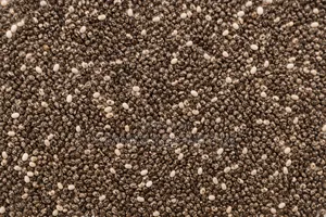 500g of Premium Chaiseed