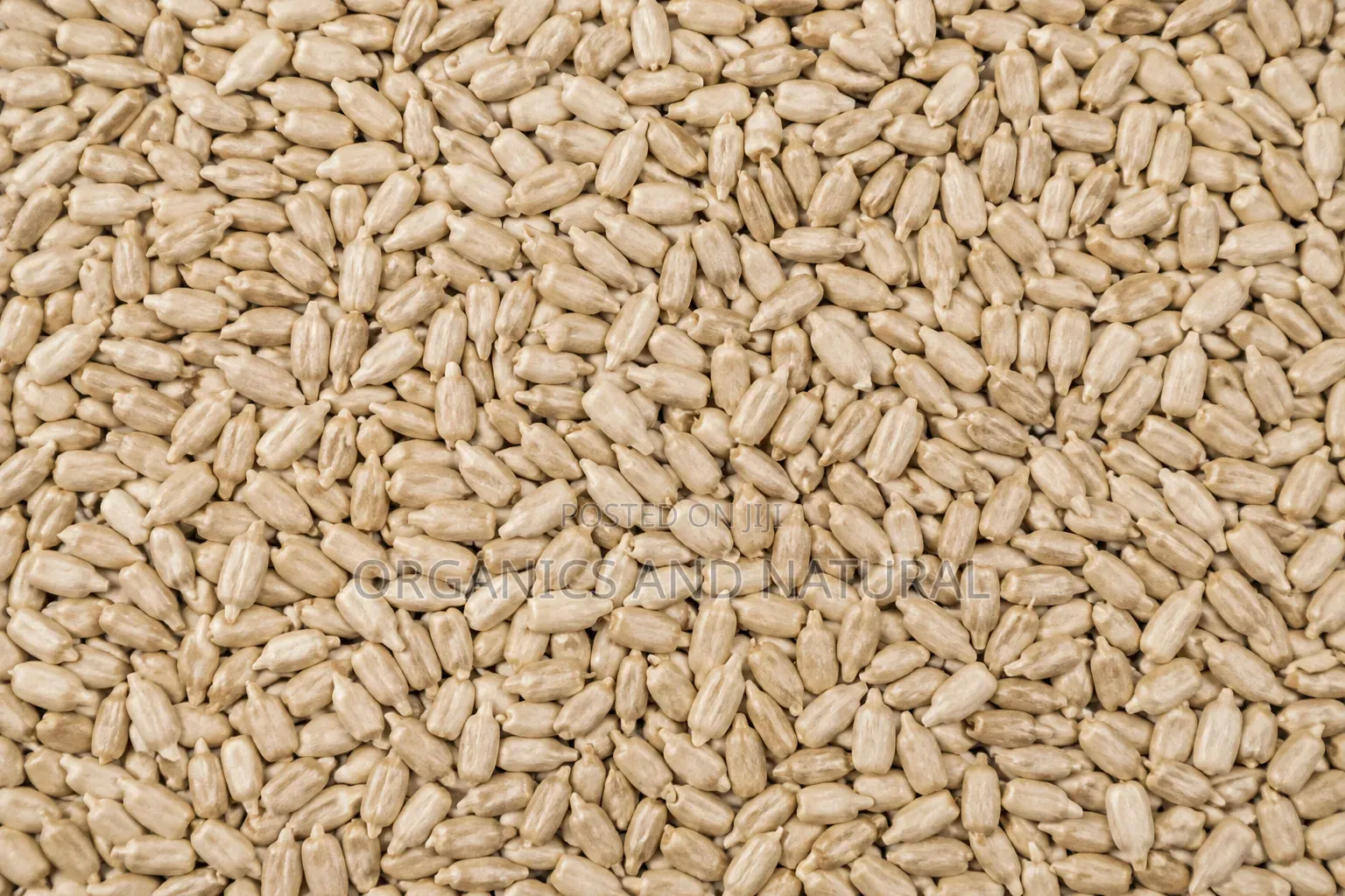 Clean 500g Sunflower