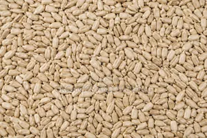 Clean 500g Sunflower