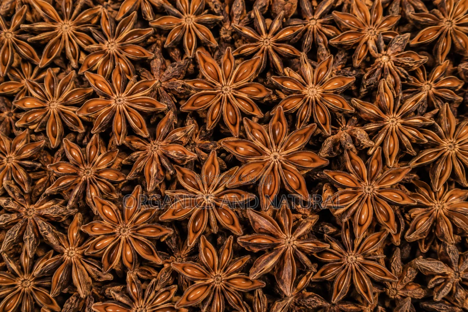 Star Anise