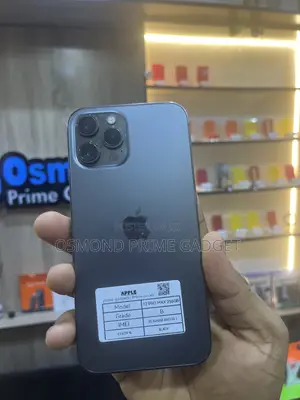 Apple iPhone 12 Pro Max 256 GB Black