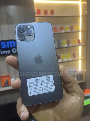Apple iPhone 12 Pro Max 256 GB Black