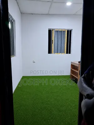All Purpose Synthetic Grass