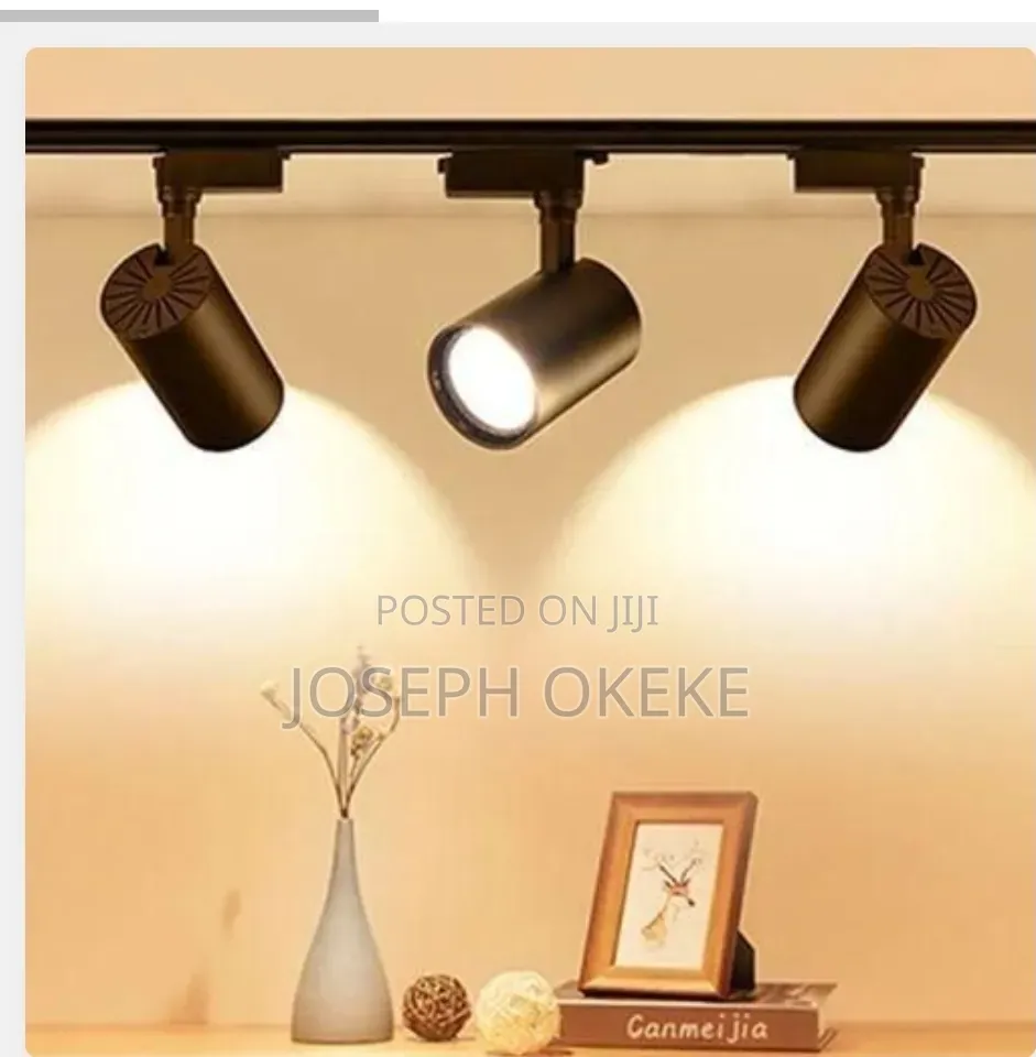 Multipurpose Triple Studio Light