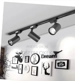 Multipurpose Triple Studio Light