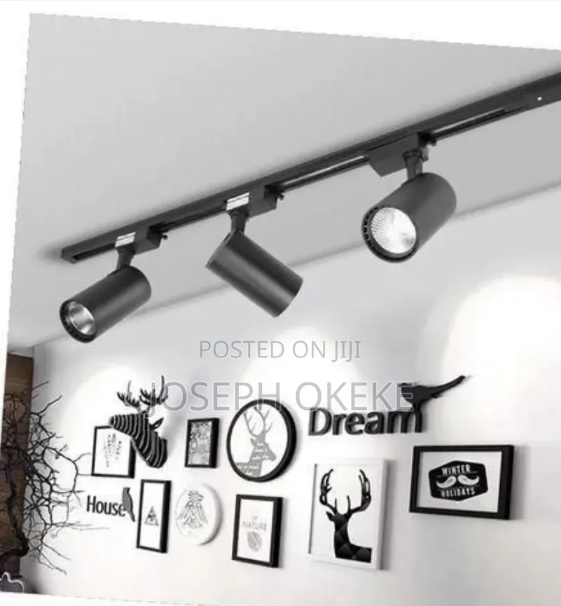 Multipurpose Triple Studio Light