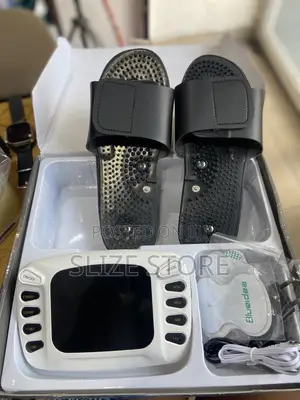 Electronic Pulse Massager