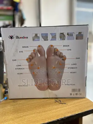 Electronic Pulse Massager
