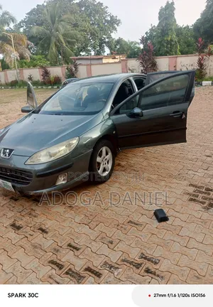 Peugeot 407 2008 Green