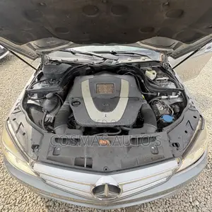 Mercedes-Benz C300 Luxury 4Matic Sedan AWD (3.0L 6cyl 7A) 2010 Gray