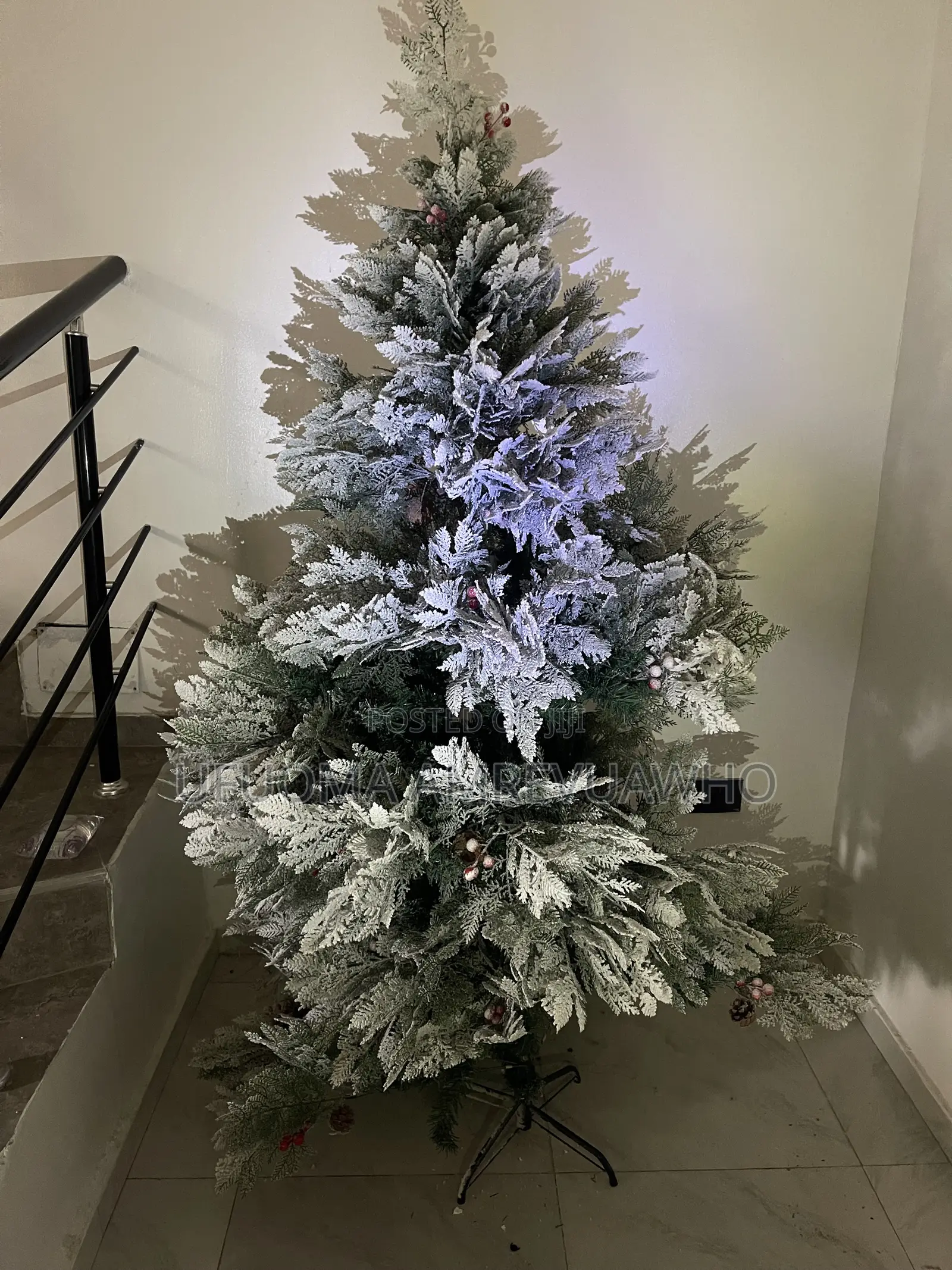 Frosted Christmas Tree and Light