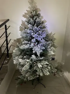 Frosted Christmas Tree and Light