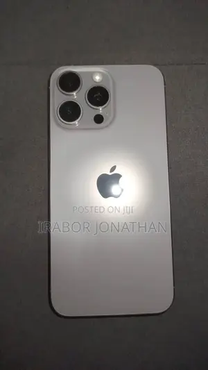 Apple iPhone 15 Pro Max 256 GB Gray