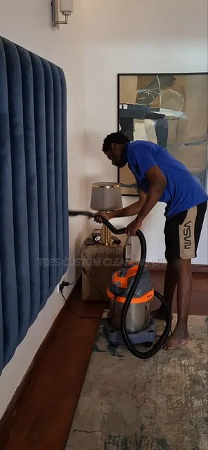 Professional Cleaning and Fumigation Services