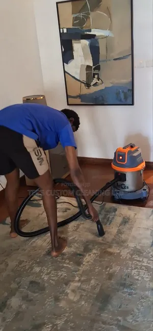 Professional Cleaning and Fumigation Services
