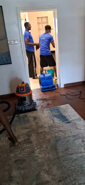 Professional Cleaning and Fumigation Services