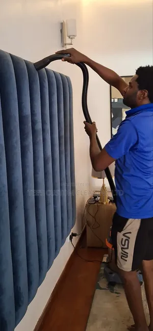 Professional Cleaning and Fumigation Services