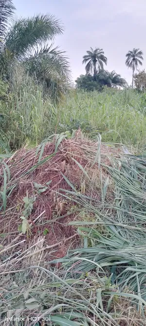 300 Plots of Land for Sale