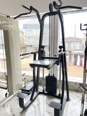 Assisted Pull Up and Dip Machine