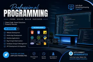 Professional Web Design/Programming