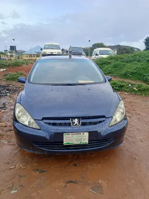 Peugeot 307 2006 Blue