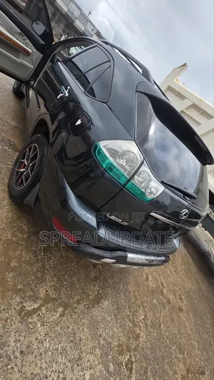 Lexus RX 2006 Gray