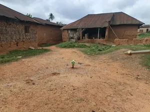 Professional Water Borehole Services 