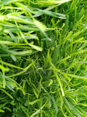 Artificial Grass 20mm 
Available in Different Sizes and Colour