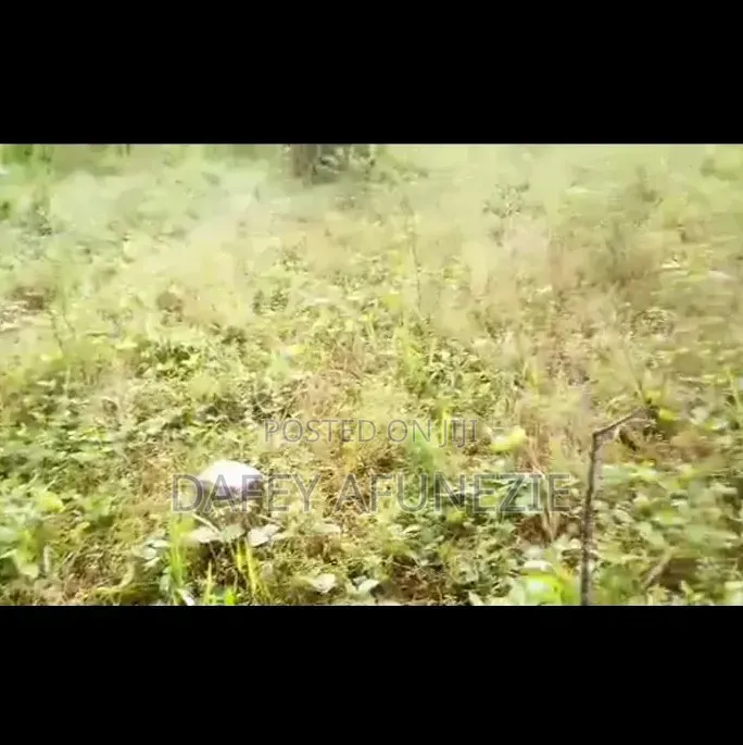Plot of Land