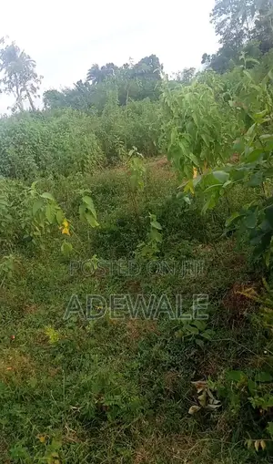 A Plot of Land for Sale 50ft by 100ft