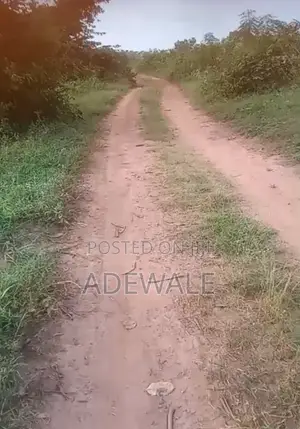 A Plot of Land for Sale 50ft by 100ft