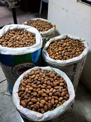 Agro Product ( Premium Nigeria Bitter Kola)