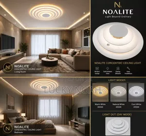 Concentric Decorative Ceiling Light Designed by Noalite
