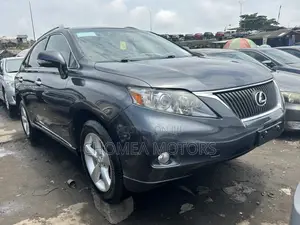 Lexus RX 2010 Gray