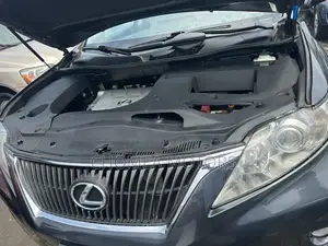 Lexus RX 2010 Gray