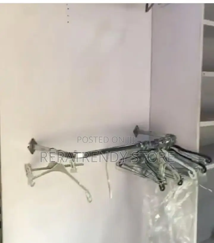 Wall Mounted Hangers