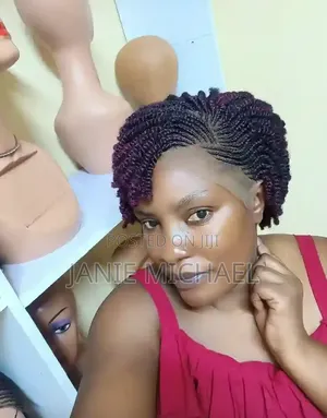 Braided Wigs