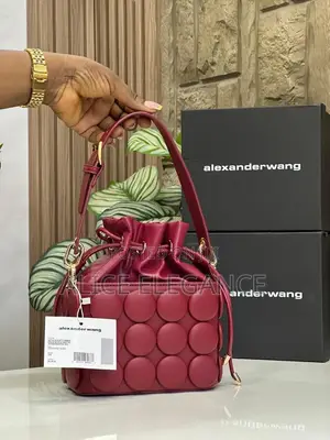 Alexandrawang Handbag