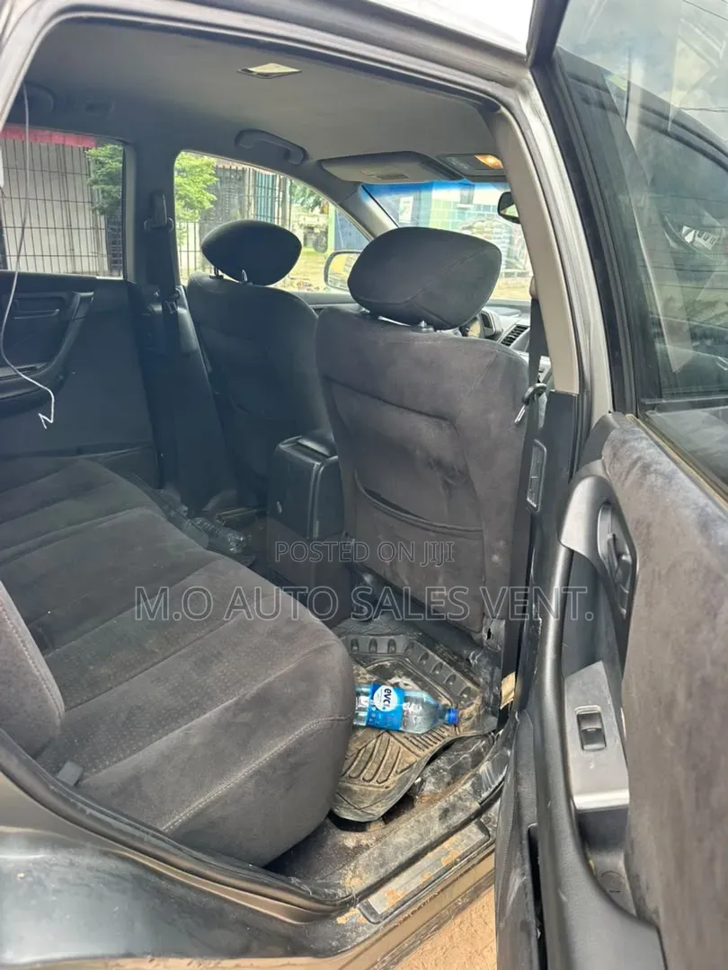 Nissan Murano 2004 Gray