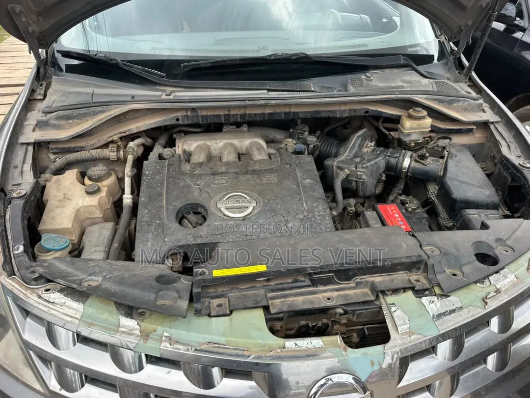 Nissan Murano 2004 Gray