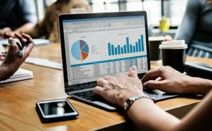 Forensic/Accounting/Audit Investigation/Tax Management Services
