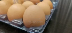 Fresh Farm Eggs
